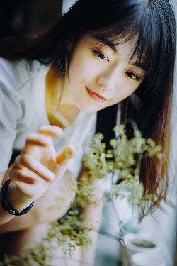 外科风云电视剧全集免费播放